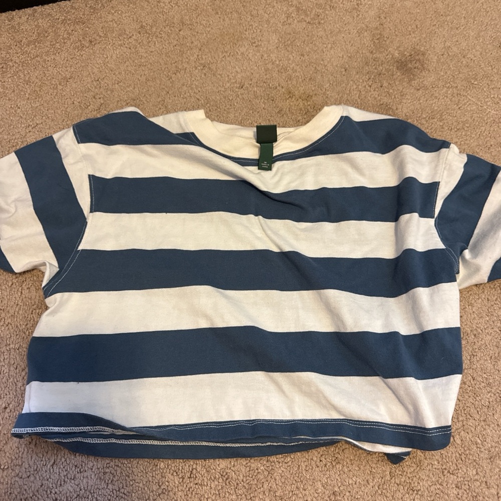 wild fable Blue & White Striped Short Sleeve Tee